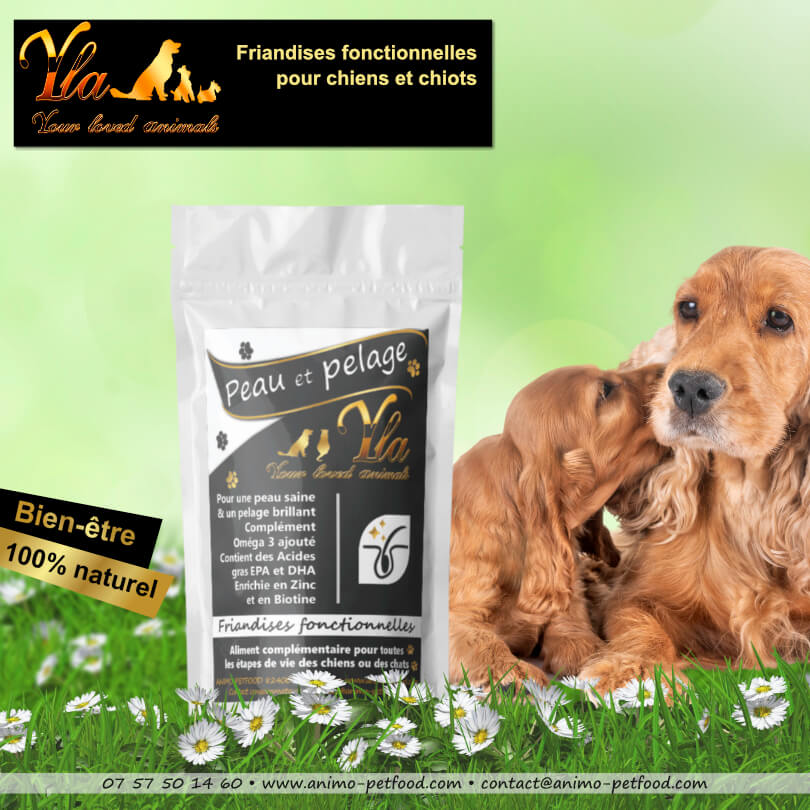 friandises-pour-chien-souffrant-de-problemes-de-peau